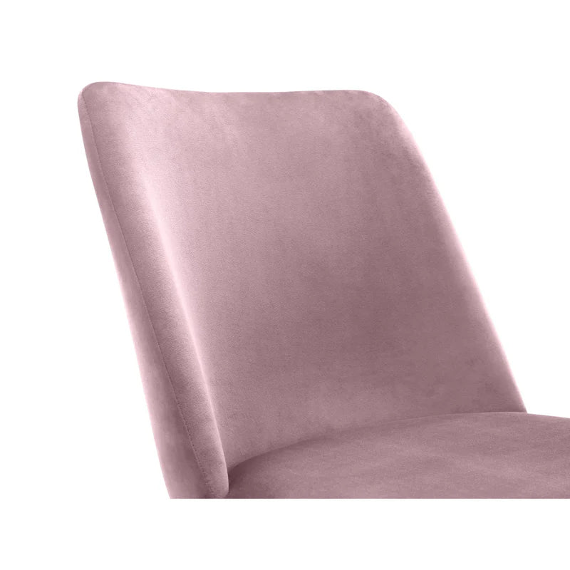 Delaunay Dining Chair (Set of 2)