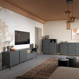 Avenale TV Cabinet 2 Door 1 Drawer