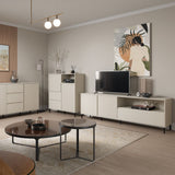 Avenale TV Cabinet 2 Door 1 Drawer