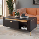 Genoa Coffee Table 1 Drawer in Black Matt/Gold