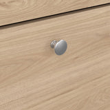 Madrid Shoe Cabinet 2 Flip Down Doors