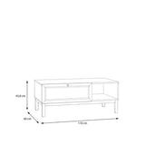 Wensley 1 Drawer Coffee Table in Light Grey and Brown