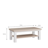 Pontypool Large Rectangular Coffee Table with Shelf