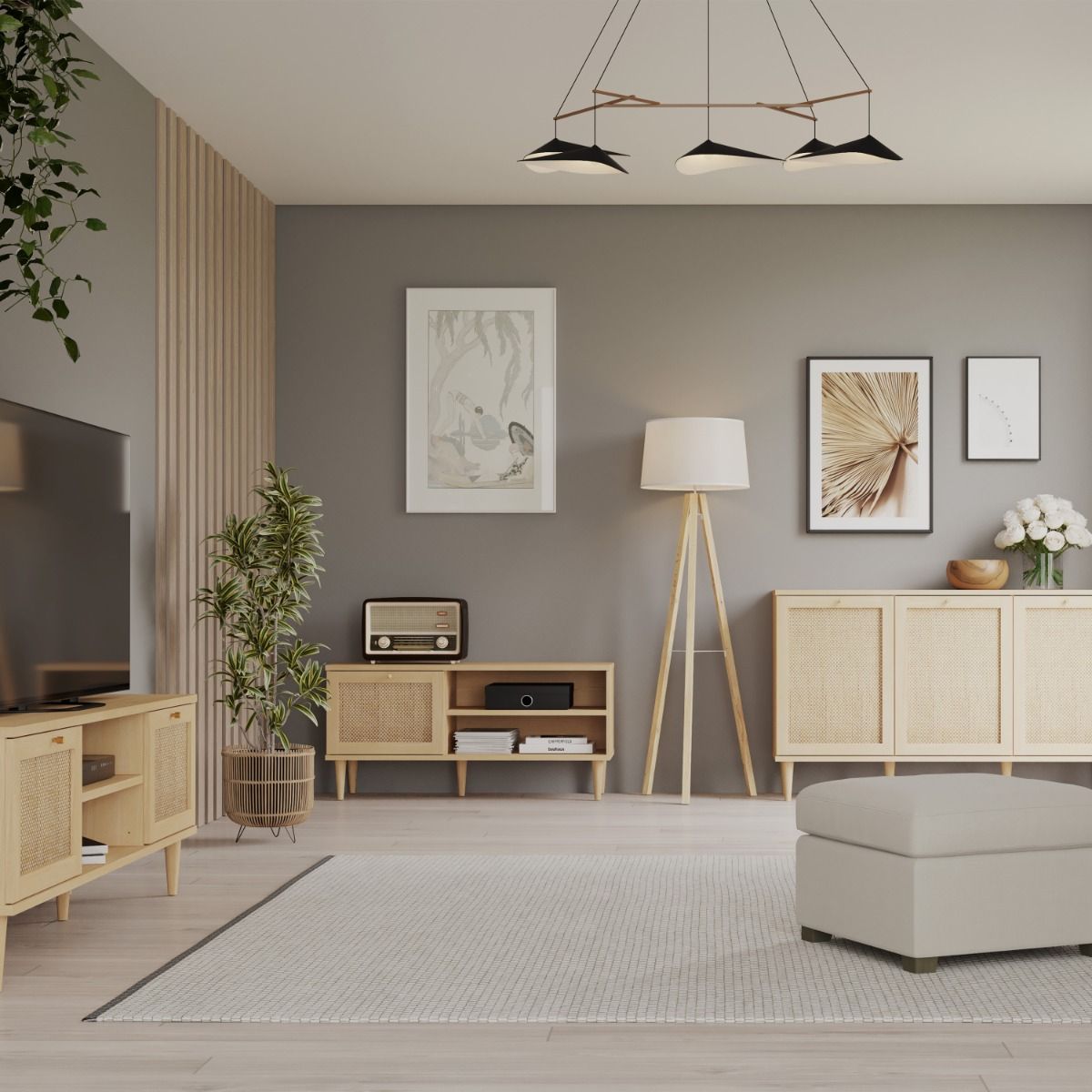 Calasetta 1 Door TV Unit in Rattan