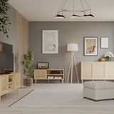 Calasetta 1 Door TV Unit in Rattan