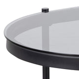 Bayonne Oval Coffee Table with Smoked Glass Top in Black