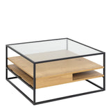 Randolf Square Coffee Table with 2 Shelves in Black and Brown