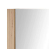 Austin Mirrored Cabinet