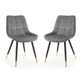 Hadid Dining Chair (Set of 2)
