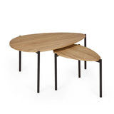 Lorette Teardrop Nesting Coffee Table